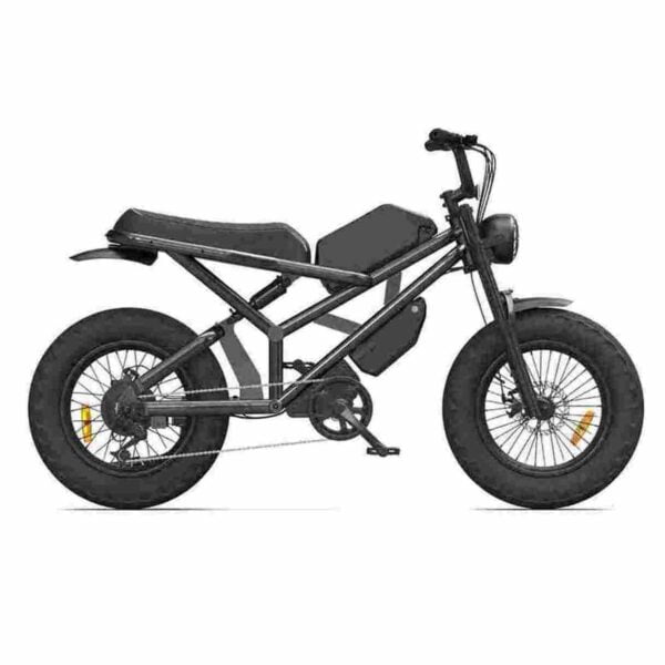 Le scooter électrique à 3 roues se lève CE à vendre prix de gros