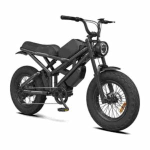 Vélo électrique à gros pneus de 750 watts CE à vendre prix de gros