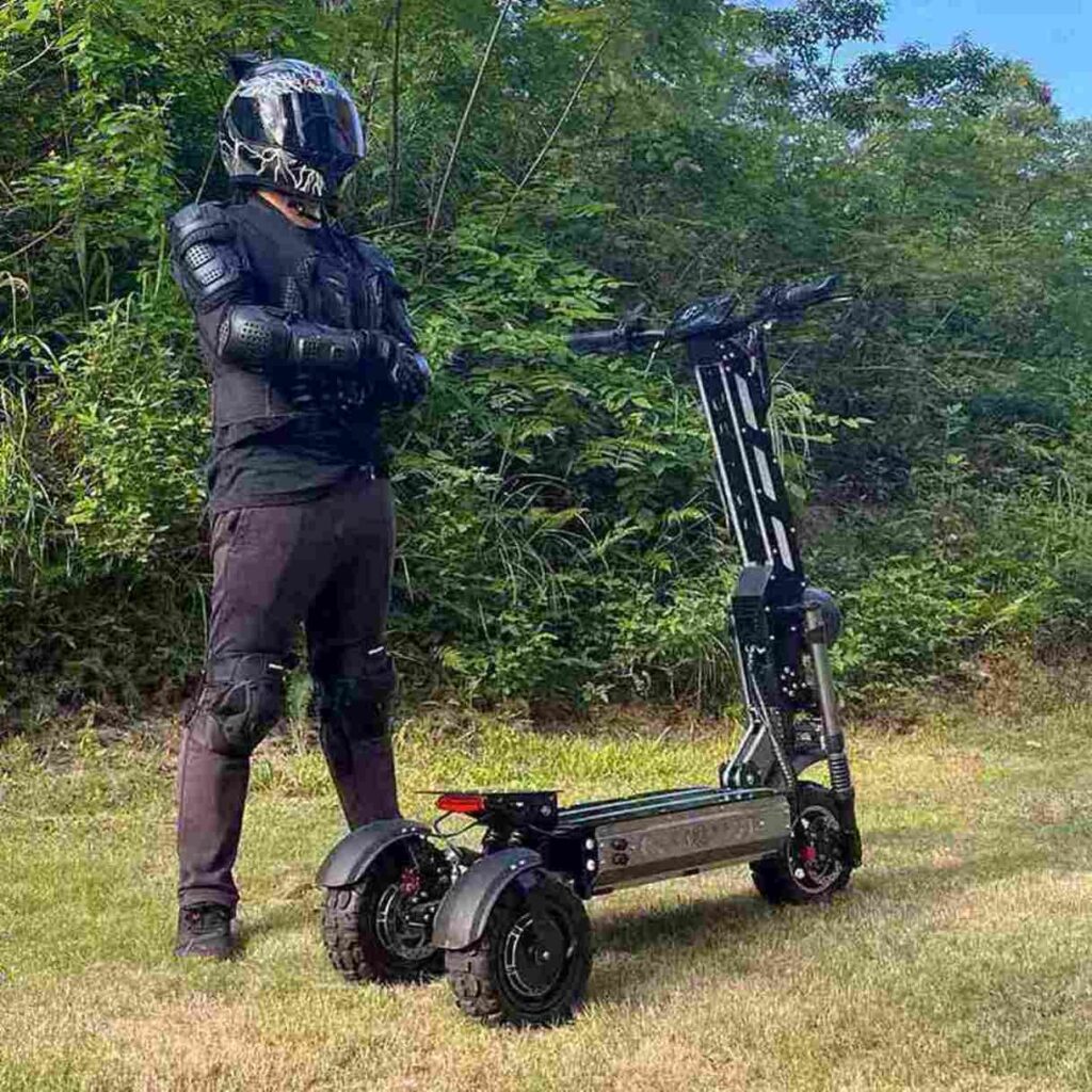 Citycoco 3 Roues CE à vendre prix de gros