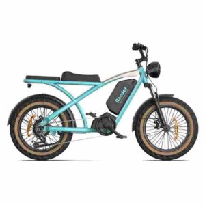 Vélo Citycoco 2000 CE à vendre prix de gros