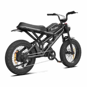 Prix du vélo électrique Coco CE à vendre prix de gros
