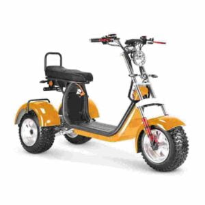 Scooter électrique Hollande CE à vendre prix de gros